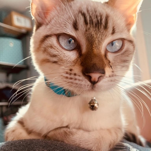 Meet your Posher, Melissa - Picture 8 of 11